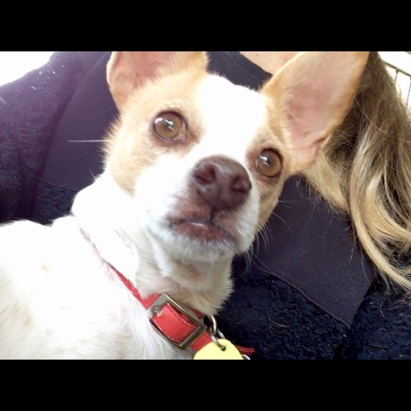 Meet your Posher, Donna - Picture 2 of 3